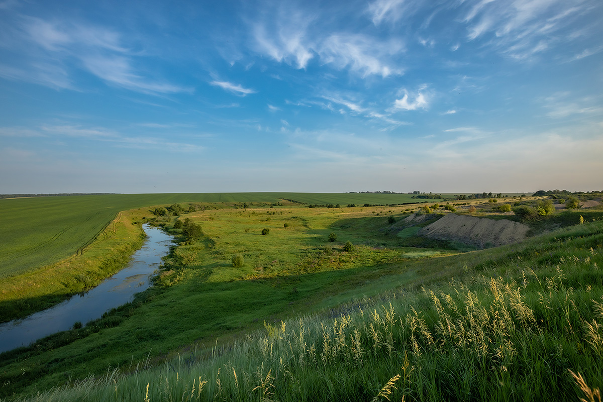 T39A2136