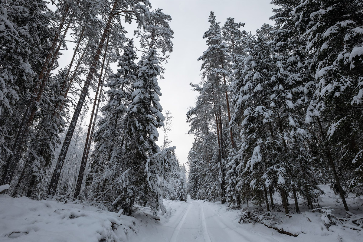 Без-имени-9